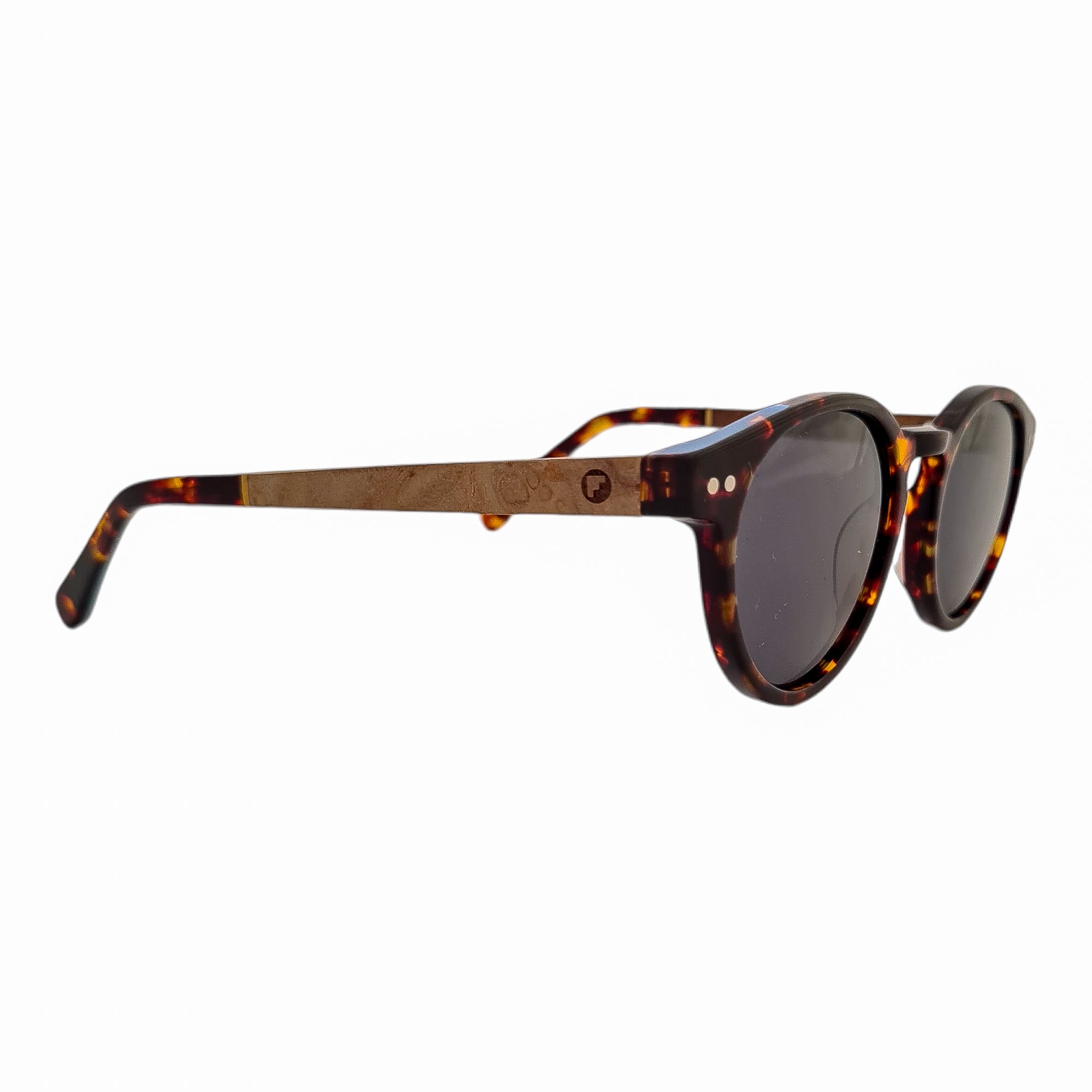 Gogo Mini Tortoise Cafe Acetato Premium De Sol Personalizado