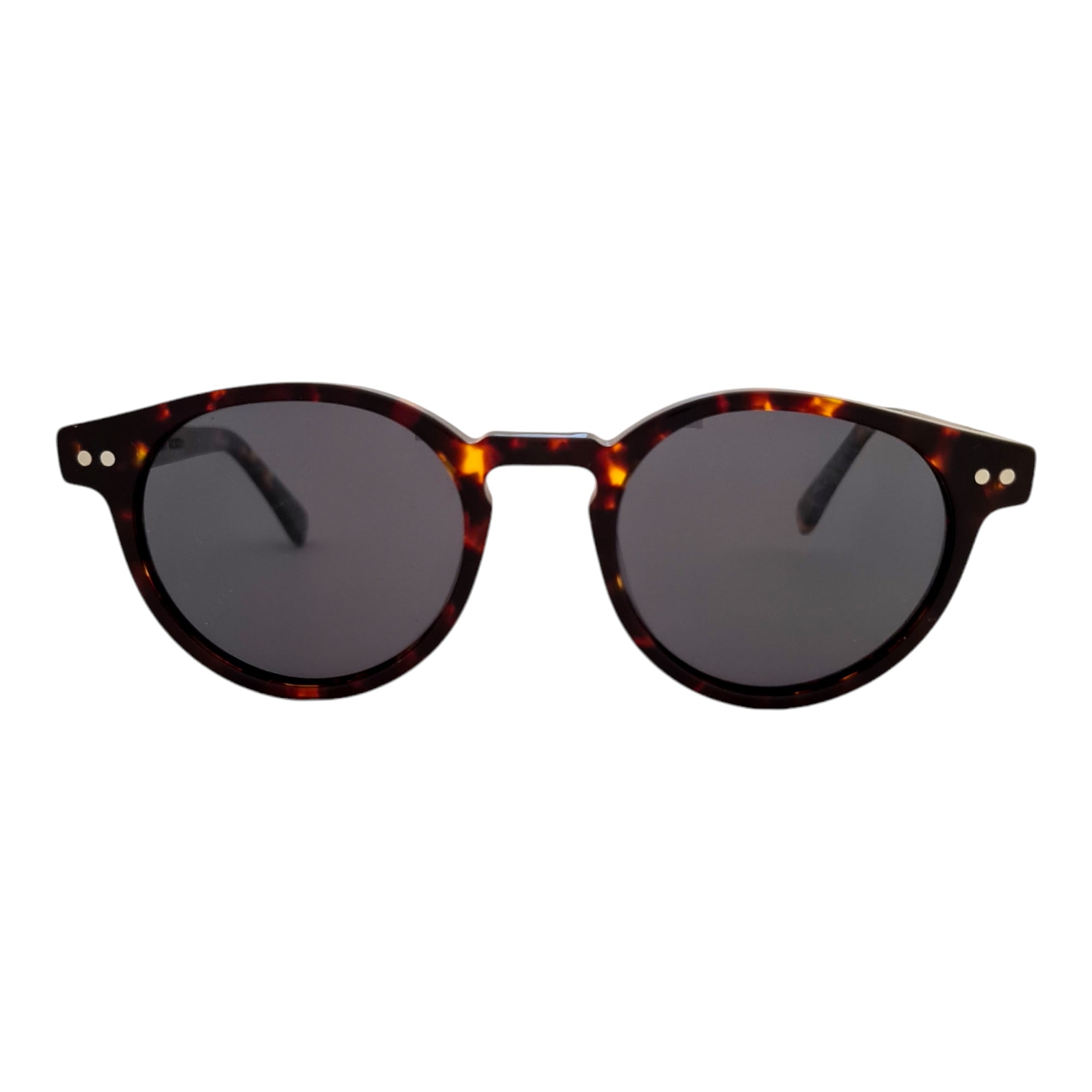 Gogo Mini Tortoise Cafe Acetato Premium De Sol Personalizado